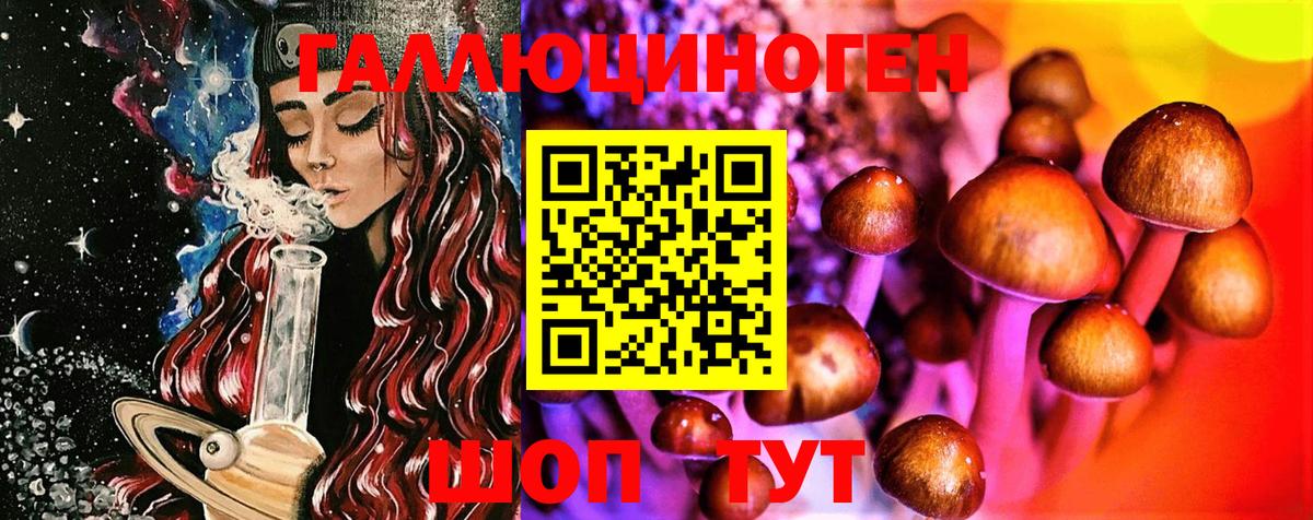 Галлюциногенные грибы Cubensis Скопин