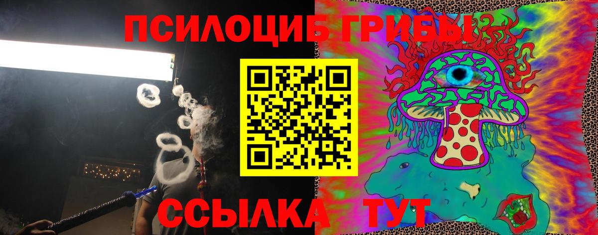 Галлюциногенные грибы прущие грибы  Вход с VPN  Скопин 